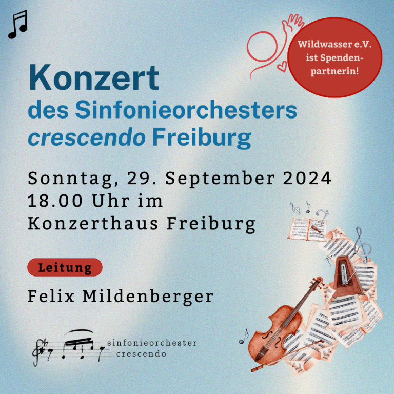Es ist ein buntes Bild mit den Informationen des Konzerts. Außerdem sind Noten, ein Cello und ein Viertaktmotor abgebildet.